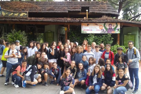 FELICITAMOS A NUESTROS ALUMNOS DE PRIMARIA POR LOS EXCELENTES RESULTADOS CONSEGUIDOS EN LAS PRUEBAS DE DIAGNÓSTICO