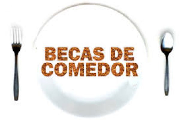 AYUDAS DE COMEDOR ESCOLAR