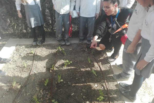 NUESTRO HUERTO ESCOLAR EMPIEZA A FLORECER