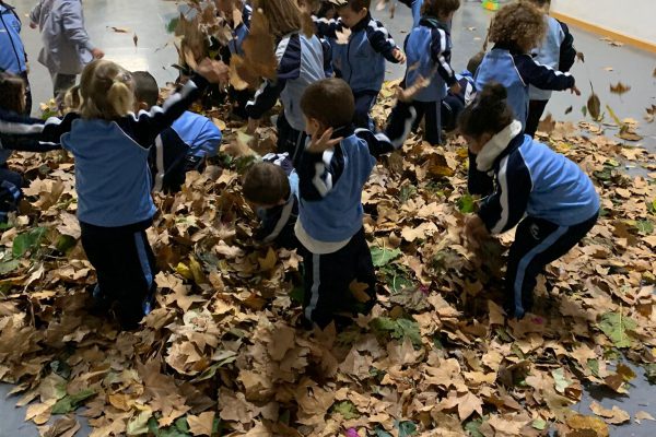 FIESTA DEL OTOÑO