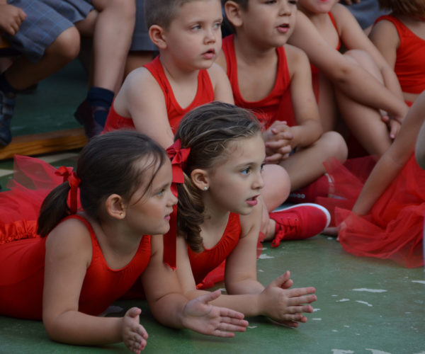 gpc---noticias---16