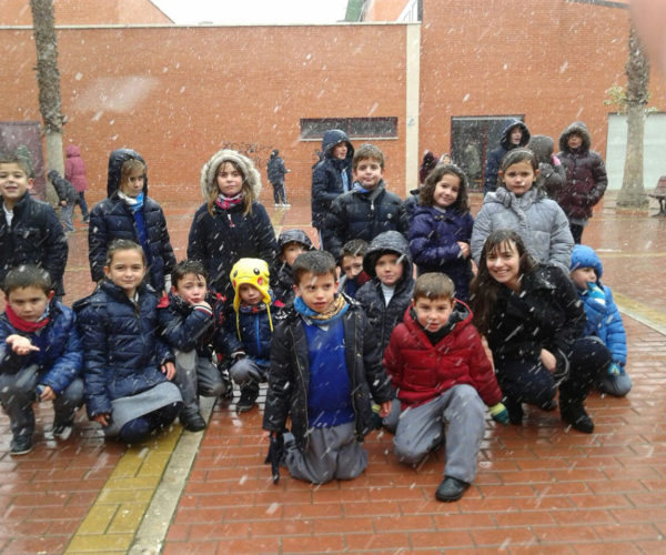 gpc---noticias---18