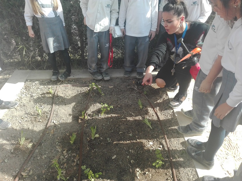 NUESTRO HUERTO ESCOLAR EMPIEZA A FLORECER